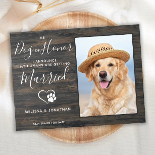 ホー素朴ンペットの婚約の写真結婚犬 案内ポストカード