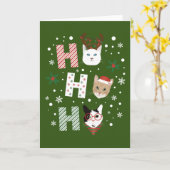 ホー・ホー猫がクリスマスに楽しむ カード (黄色い花)