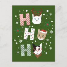 ホー・ホー猫がクリスマスに楽しむ