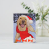 ホー!ホー!ホー! ポストカード (スタンド正面)