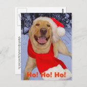 ホー!ホー!ホー! ポストカード (正面/裏面)