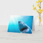 ホ素晴らしホジロザメ|南アフリカ カード (黄色い花)