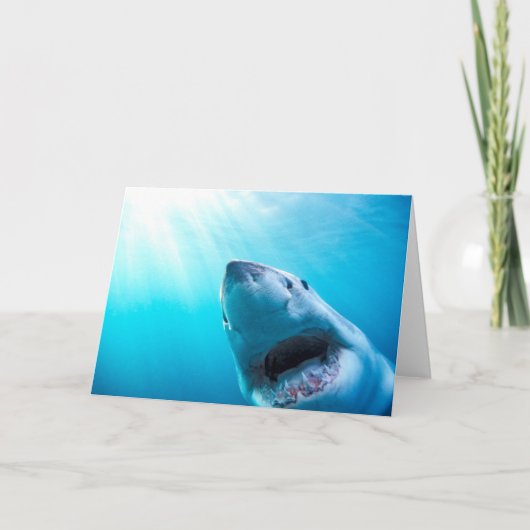 ホ素晴らしホジロザメ|南アフリカ カード (正面)