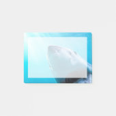 ホ素晴らしホジロザメ|南アフリカ ポストイット (正面)