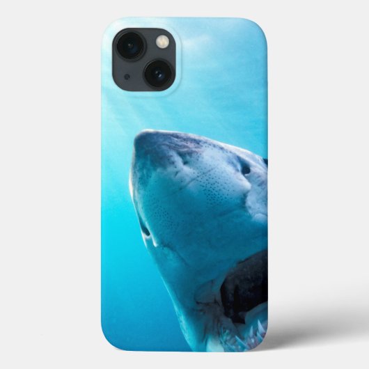 ホ素晴らしホジロザメ|南アフリカ Case-Mate iPhoneケース (裏面)