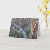 ホ素晴らしーンフクロウ カード (黄色い花)