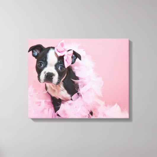 ボアすごいを着た可愛いボストンテリアパピー キャンバスプリント (正面)