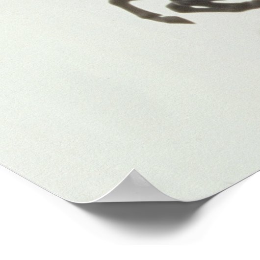 ボアジセア， 1902 ポスター (角)