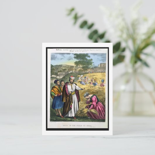 ボアズの分野のルース、が印刷した聖書から ポストカード (スタンド正面)