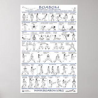 ボアボム：古代チベットからの防衛瞑想 ポスター