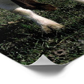 ボアヤギ及び猫ポートレートポスタープリント ポスター (角)