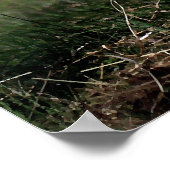 ボアヤギ母とベビーポスタープリント ポスター (角)