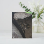 ボア・コンストリクター #1 ポストカード (スタンド正面)