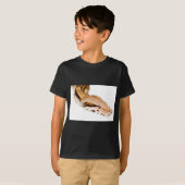 ボア・コンストリクター Tシャツ (正面フル)