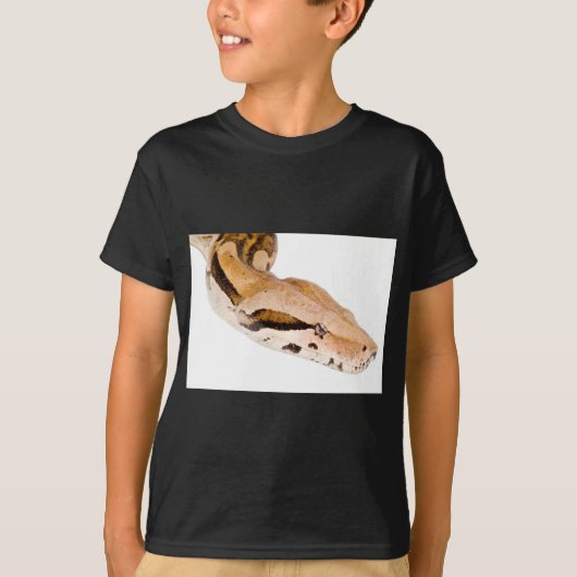ボア・コンストリクター Tシャツ (正面)