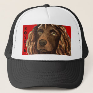 ボイキンスパニエル犬カラーブロック キャップ