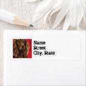 ボイキンスパニエル犬カラーブロック ラベル (インサイチュ)