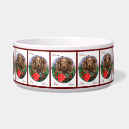 ボイキンスパニエル犬クリスマスドッグボウル ボウル