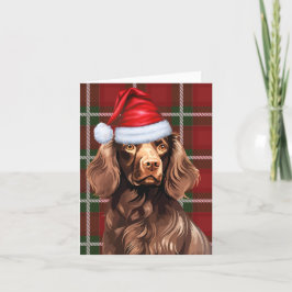 ボイキンスパニエル犬クリスマスドッグレッドプレイドクリスマス シーズンカード