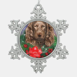 ボイキンスパニエル犬クリスマス スノーフレークピューターオーナメント