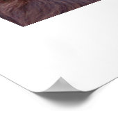 ボイキンスパニエル犬ポスター ポスター (角)