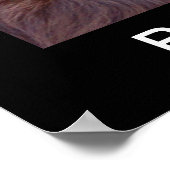 ボイキンスパニエル犬ポスター ポスター (角)