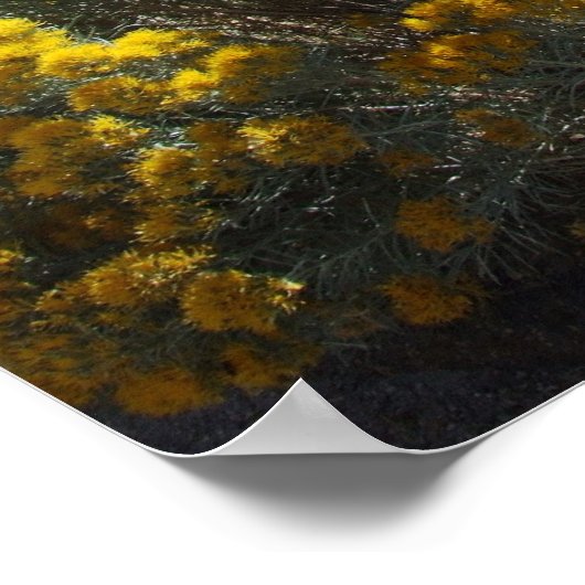 ボイシ丘陵 ポスター (角)