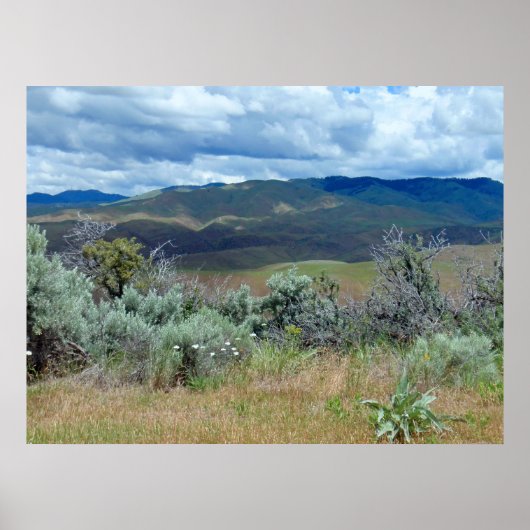 ボイシ丘陵 ポスター (正面)