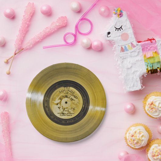 ボイジャー宇宙船ゴールデンレコード ペーパープレート (パーティー)