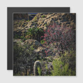 ボイストンプソンアルボレトゥム (正面/裏面)