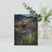 ボイストンプソンアルボレトゥム ポストカード (スタンド正面)