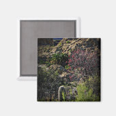 ボイストンプソンアルボレトゥム マグネット (正面/裏面)