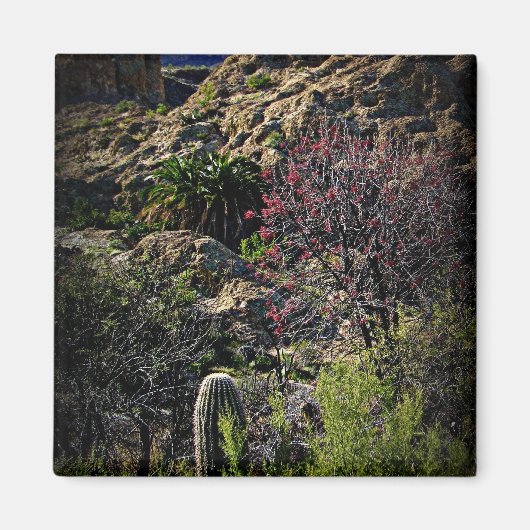 ボイストンプソンアルボレトゥム マグネット (正面)