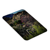 ボイストンプソンアルボレトゥム マグネット (右側)