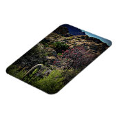 ボイストンプソンアルボレトゥム マグネット (左側)