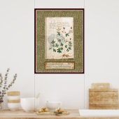 ボイニッヒプレート10 ポスター (キッチン)