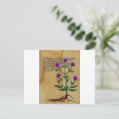 ボイニッヒヘルボリステリアヴィンテージレトロチャームズ ポストカード (スタンド正面)