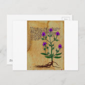 ボイニッヒヘルボリステリアヴィンテージレトロチャームズ ポストカード (正面/裏面)