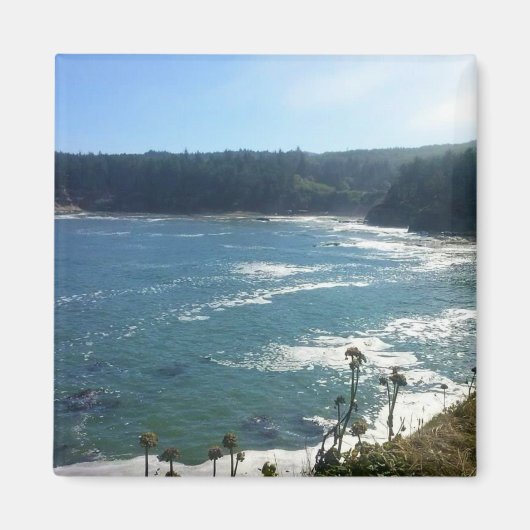 ボイラベイ、または マグネット (正面)