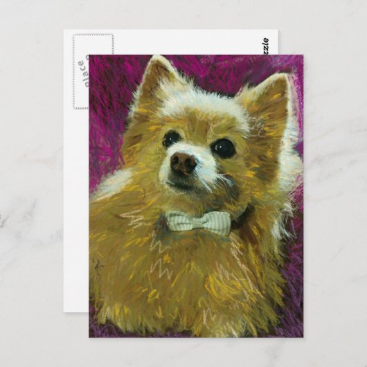 ボウタイ#2 ポストカード (正面/裏面)