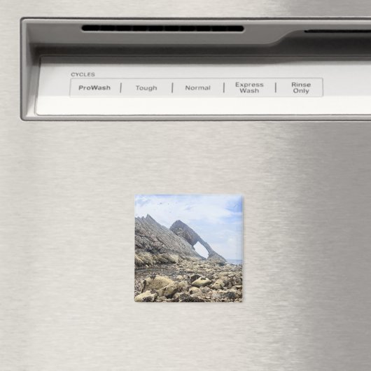 ボウフィドルロック – マグネット (インサイチュ (食洗機))