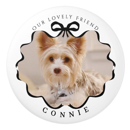 ボウブラックリボンペットホワイト セラミックノブ (正面)