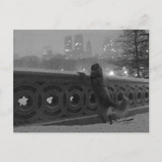 ボウブリッジからの雪の景色 ポストカード