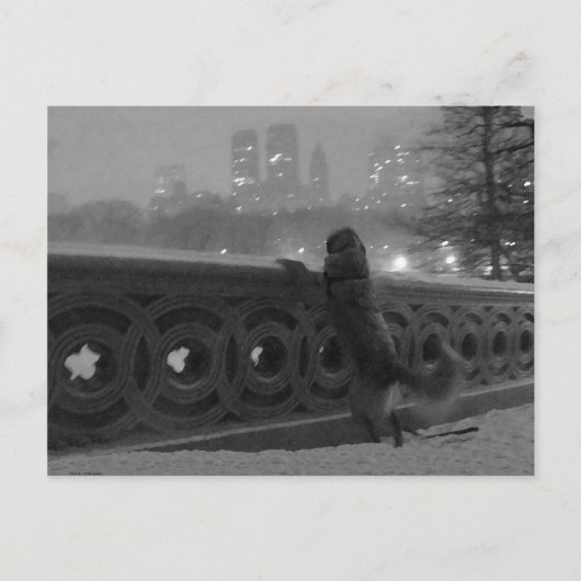 ボウブリッジからの雪の景色 ポストカード (正面)