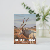 ボウヘドマ国立公園チュニジアのアダックスアンテロープ ポストカード (スタンド正面)