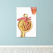 ボウマン糸球体カプセルの解剖学 キャンバスプリント (インサイチュ (ウッドフロア))