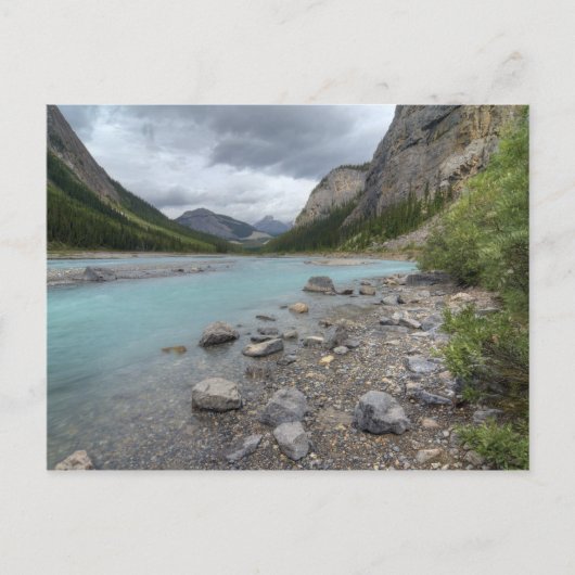 ボウリバー ポストカード (正面)