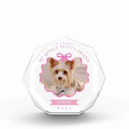 ボウリボンPETメモリーフォトピンク フォトブロック (正面)