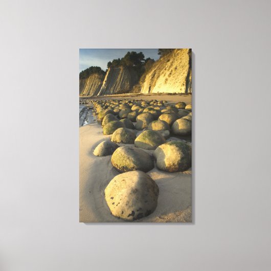 ボウリングボールビーチオンカリフォルニアズメンドシーノコースト キャンバスプリント (正面)