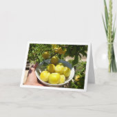 ボウルに入った黄色いプラム カード (正面)